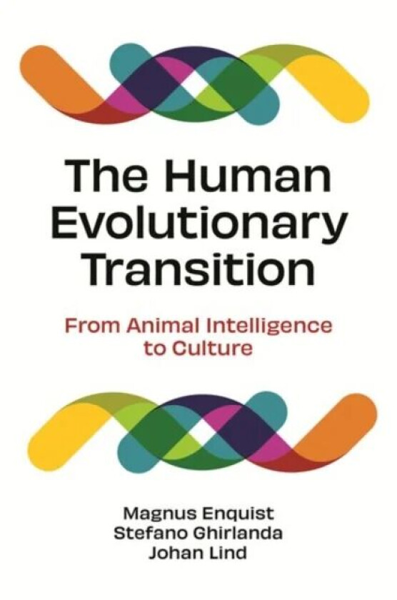 The Human Evolutionary Transition av Magnus Enquist, Stefano Ghirlanda, Johan Lind