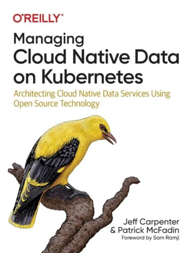 Managing Cloud Native Data on Kubernetes av Jeff Carpenter, Patrick McFadin
