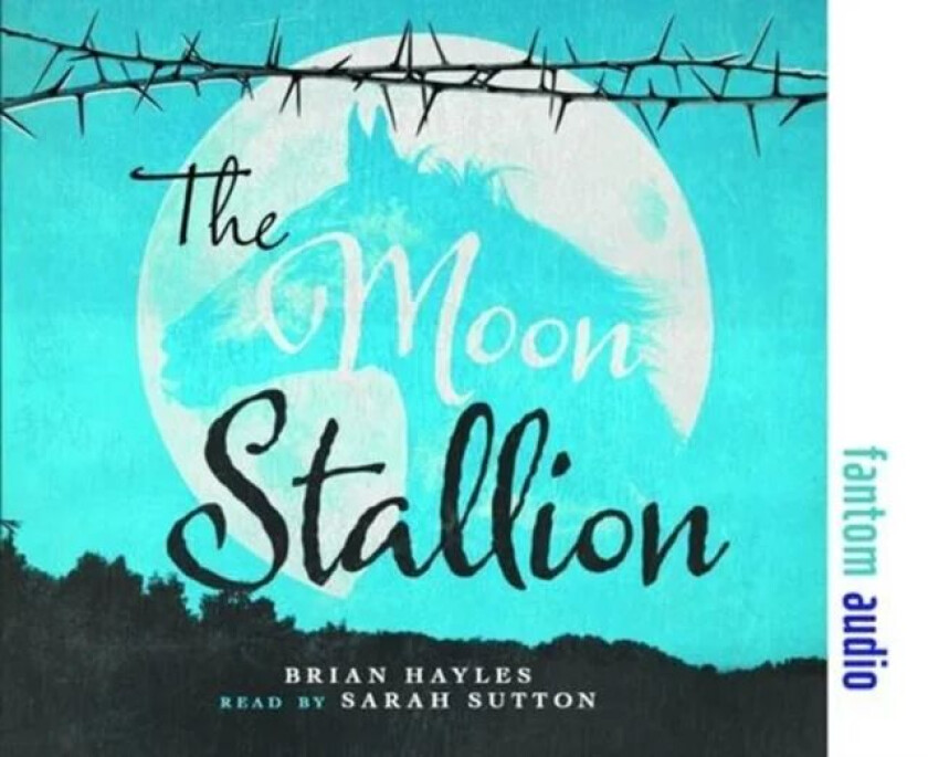 The Moon Stallion av Brian Hayles