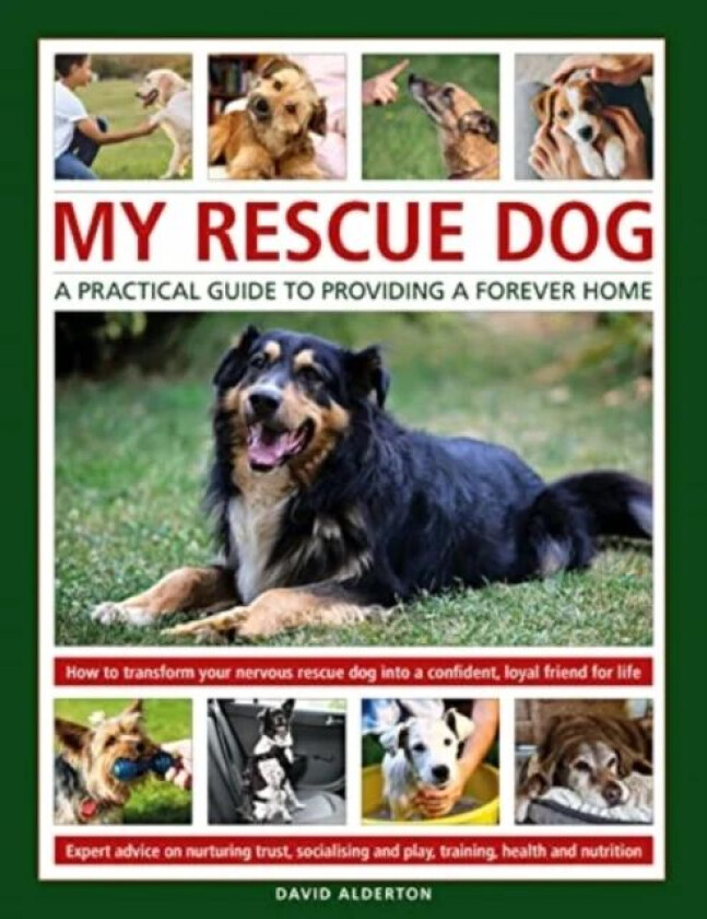 My Rescue Dog: A practical guide to providing a forever home av David Alderton