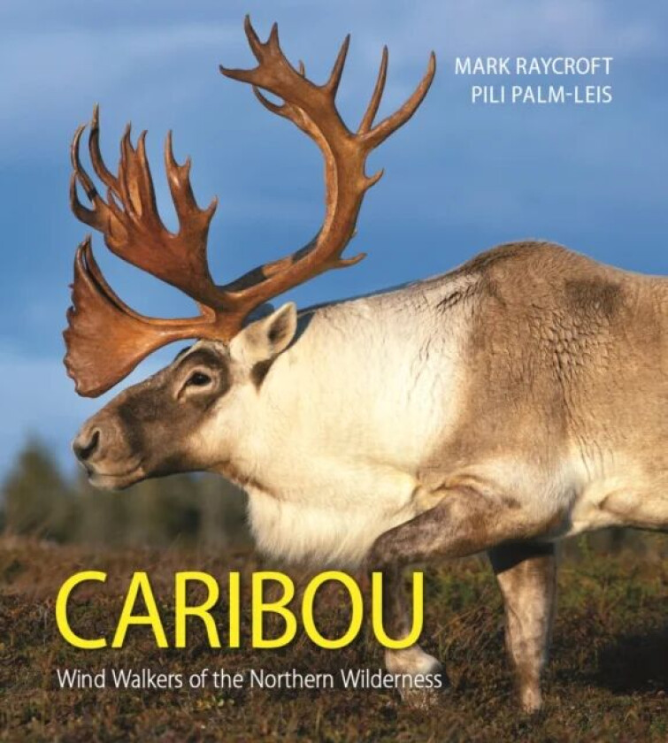 Caribou av Mark Raycroft, Pili Palm-Leis