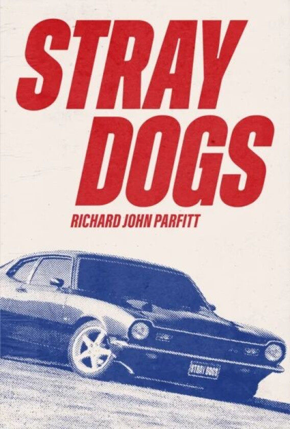 STRAY DOGS av Richard John Parfitt