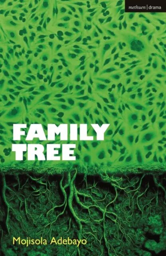 Family Tree av Mojisola (Author Queen Mary University of London UK) Adebayo