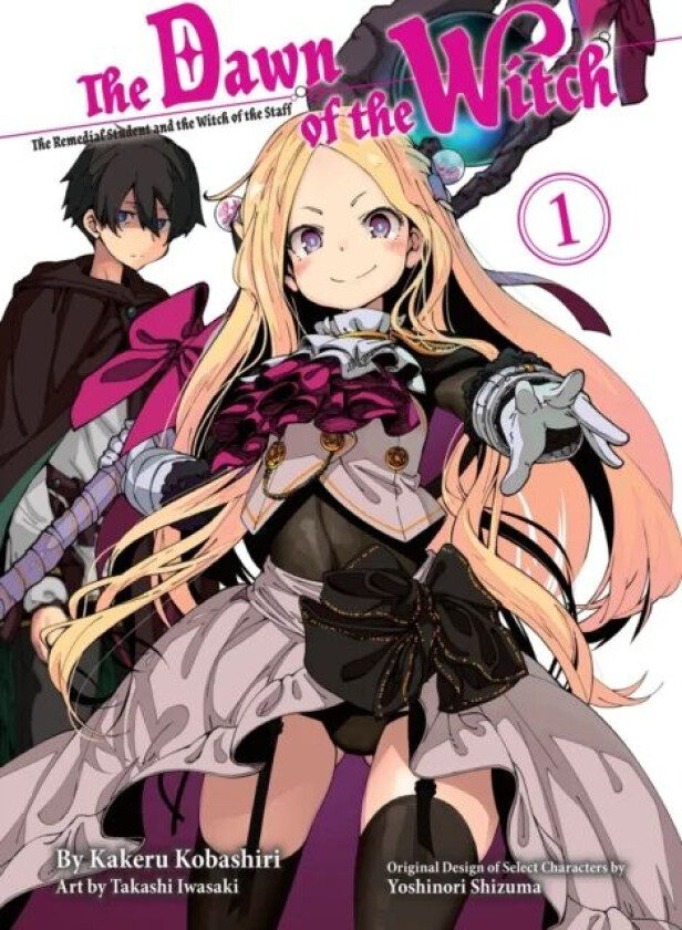 The Dawn Of The Witch 1 (light Novel) av Kakeru Kobashiri