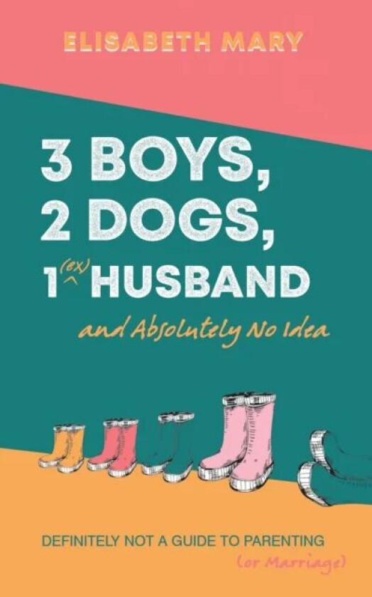 3 Boys, 2 Dogs, 1 (Ex) Husband and Absolutely No Idea av Elisabeth Mary