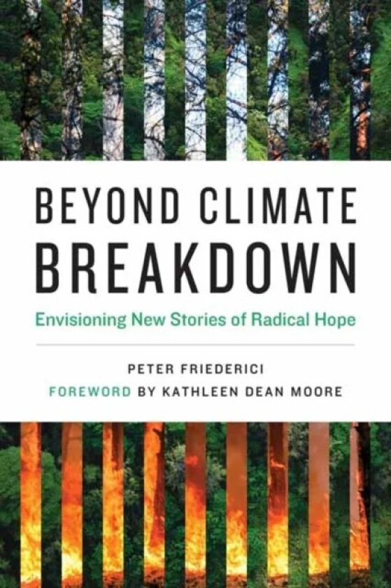 Beyond Climate Breakdown av Peter Friederici, Kathleen Dean Moore