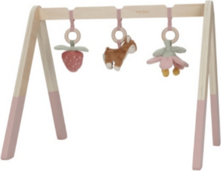 Baby Gym Fairy Garden (LD9010)