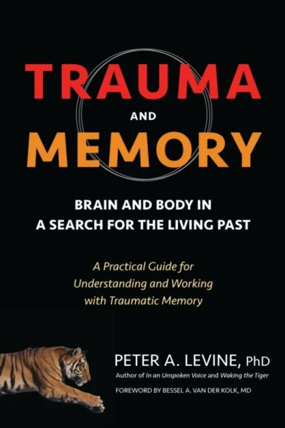 Trauma and Memory av Peter A. Levine