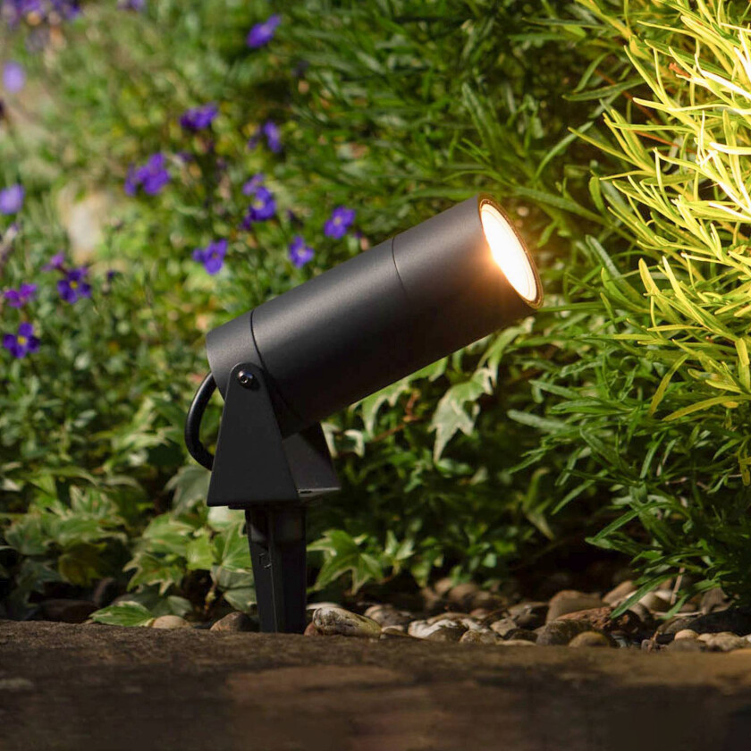 LED-spot med jordspyd 5131, svart, aluminium, glass, jordet støpsel