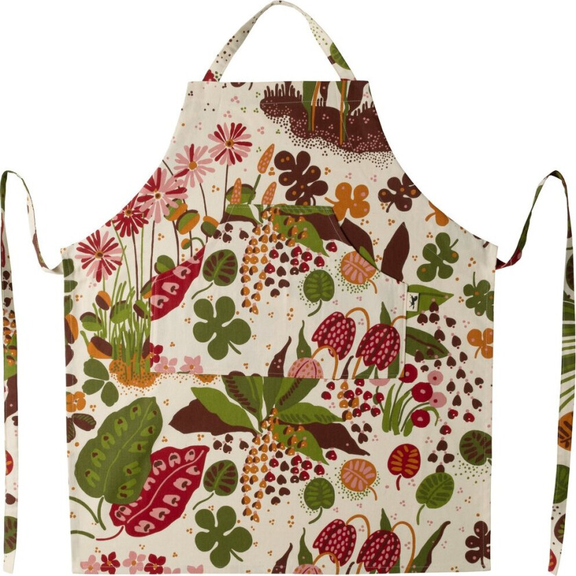 Ailanthus forkle Multi