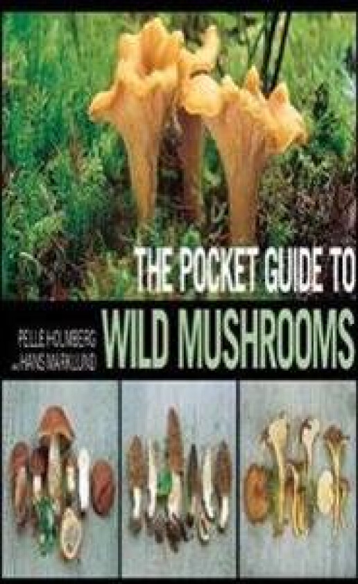 The Pocket Guide to Wild Mushrooms