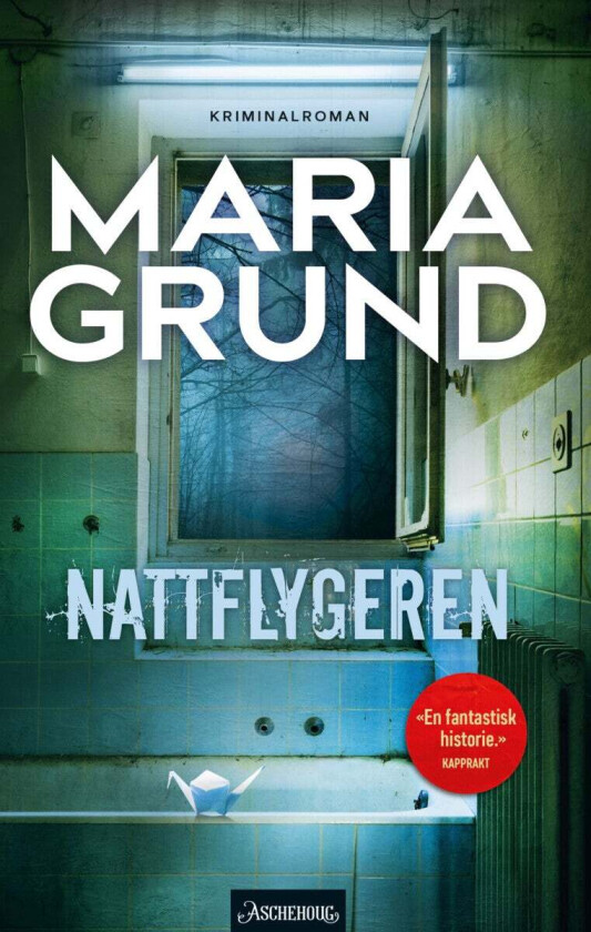 Nattflygeren av Maria Grund