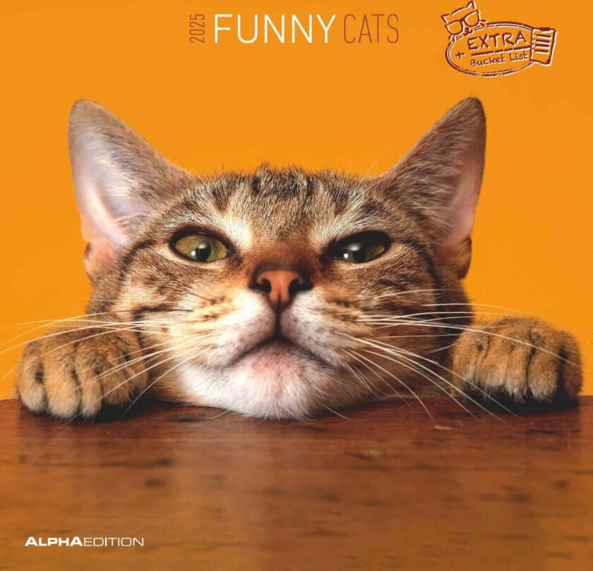 Kalender 2025 Funny Cats 30x30cm