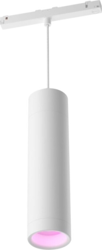 Hue White And Color Ambiance - Taklampe - Led-Lyspære - 5.2 W - 2000-6500 K - Sylinder - Hvit