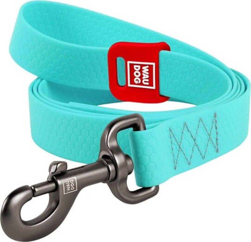 waterproof dog leash 20mm wide 183 cm long blue