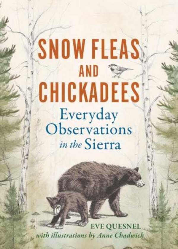 Snow Fleas and Chickadees Everyday Observations in the Sierra