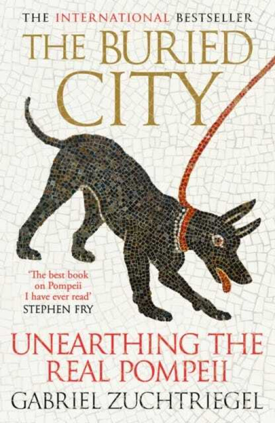 The Buried City Unearthing the Real Pompeii