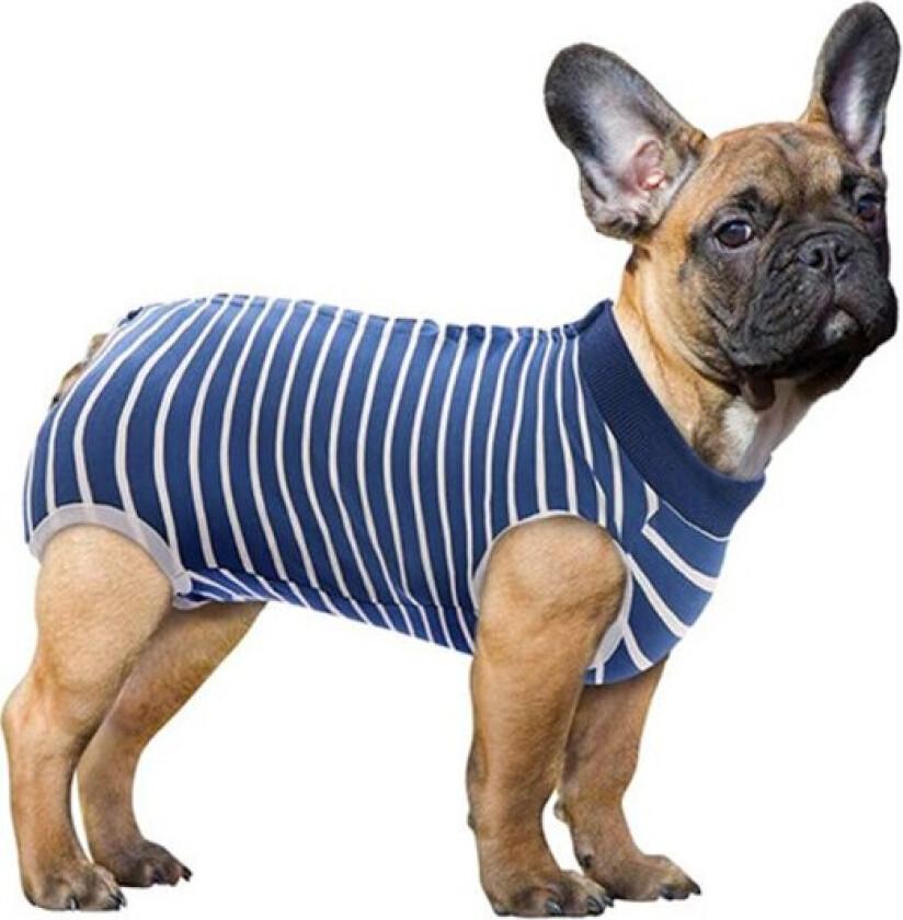 Gjenopprettingsdrakt for hund, katter, heldrakt for abdominal sår, gjenopprettingsskjorte for hann- og hunnkjæledyr, kirurgisk tettsittende drakt etter operasjon, anti-slikking hundedresser