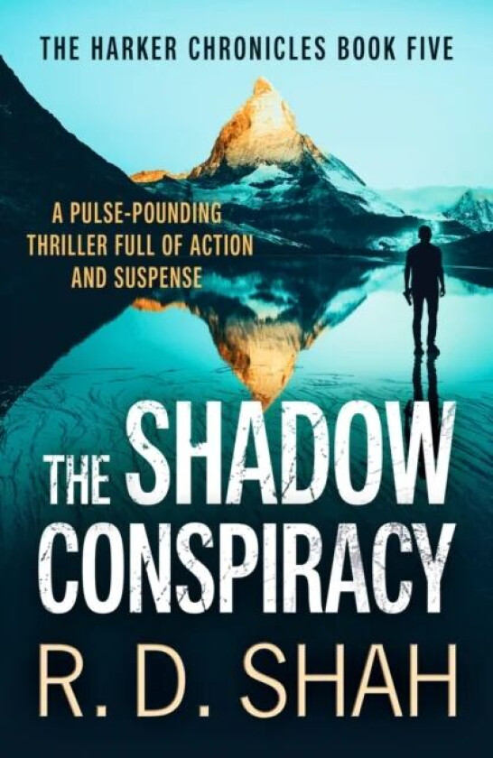 The Shadow Conspiracy av R.D. Shah