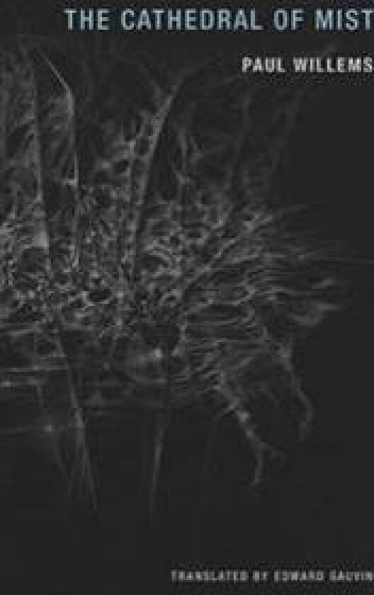 The Cathedral of Mist