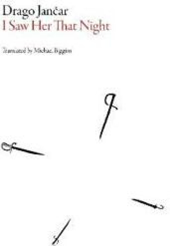 I Saw Her That Night