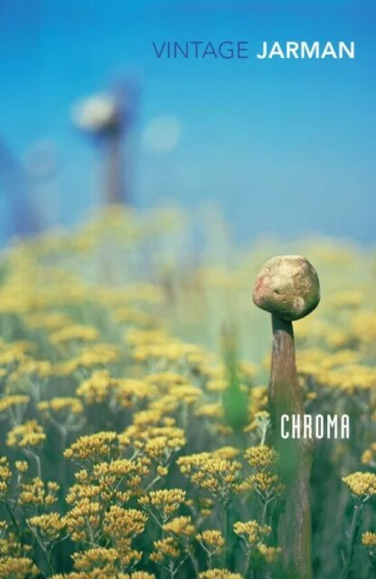 Chroma av Derek Jarman