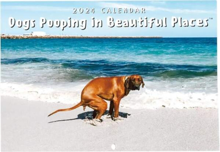 2024 Hundebæsj Kalender Vakre Steder | Veggkunst Månedlig Familiekalender | Kalender for Hundeggaver Gag Henge-B