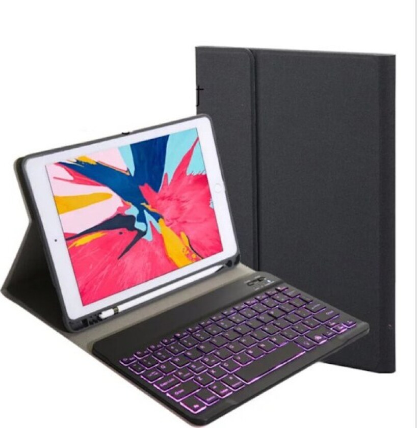 Inateck tastaturdeksel for iPad 2021(9. generasjon)/2020(8. generasjon)/2019(7. generasjon) 10,2 tommer, iPad Air 3 og iPad Pro 10,5, QWERTZ, KB02012, mørk grå