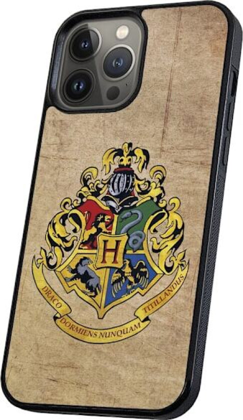 iPhone 16 Pro - Deksel/Mobildeksel Harry Potter