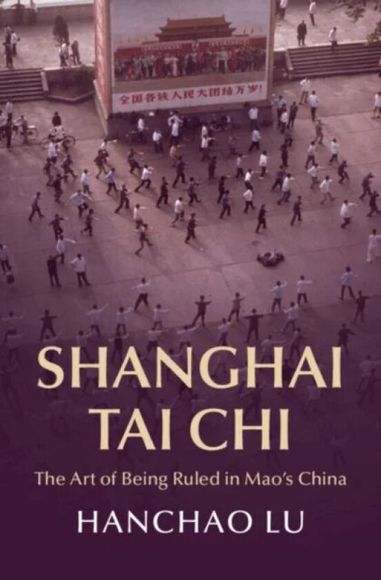 Shanghai Tai Chi av Hanchao (Georgia Institute of Technology) Lu
