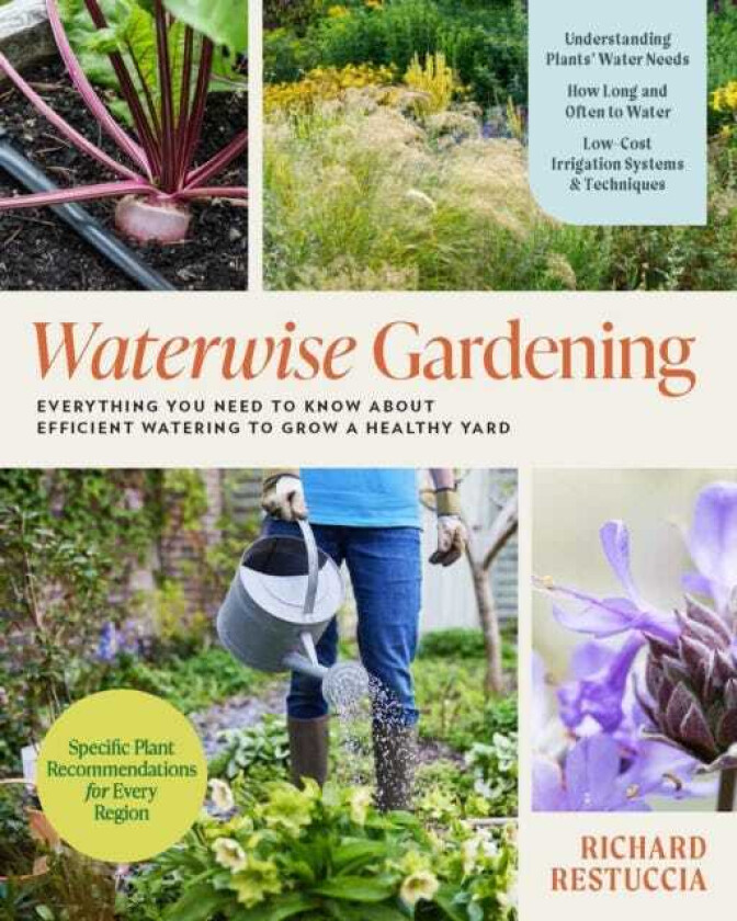 Waterwise Gardening Everything You Need to Know to Grow a Lush Yard with Efficient Water Use
