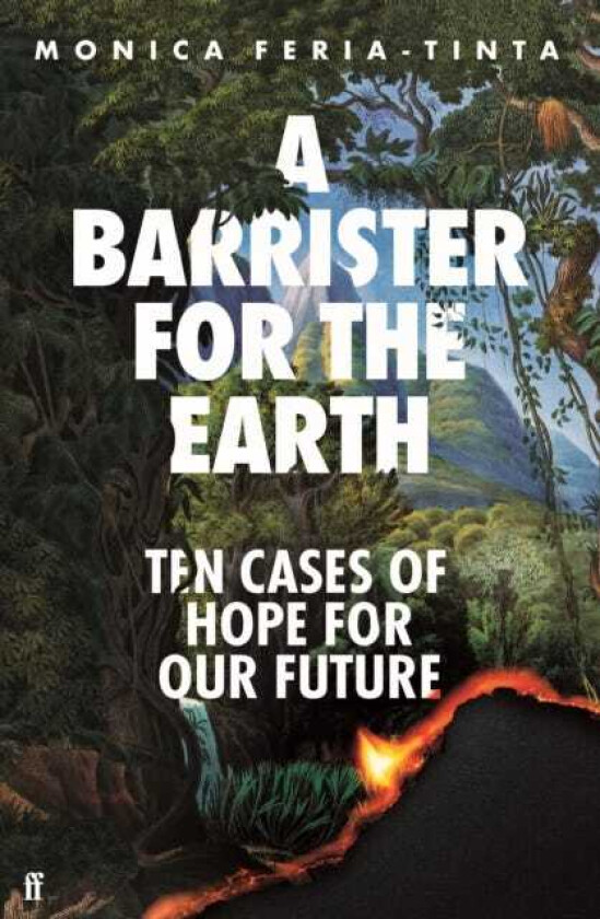 A Barrister for the Earth Ten Cases of Hope for Our Future