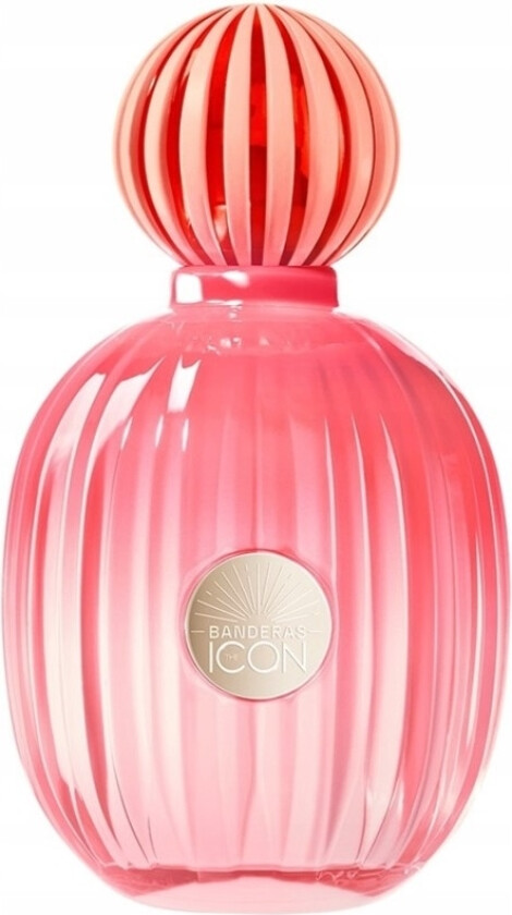 The Icon Splendid Edp 100ml