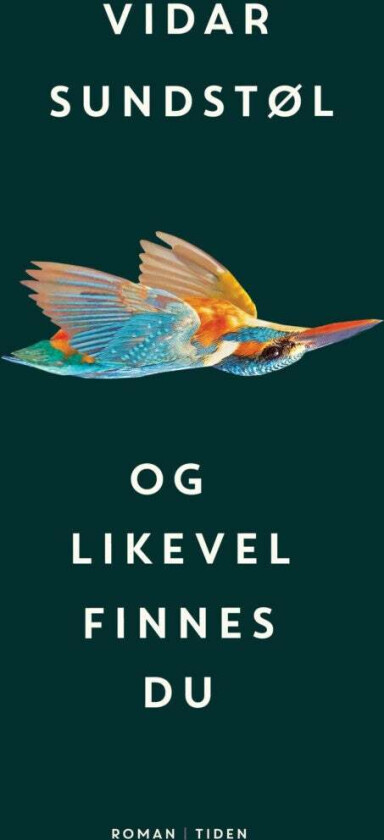 Og likevel finnes du av Vidar Sundstøl