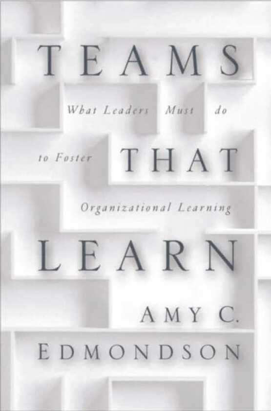 Teaming - How Organizations Learn, Innovate and Compete in the Knowledge Economy av Amy C. Edmondson