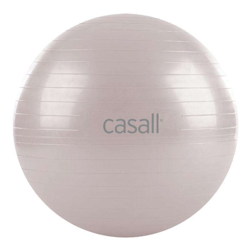 Gym Ball 60-65 Cm Soft Lilac OS