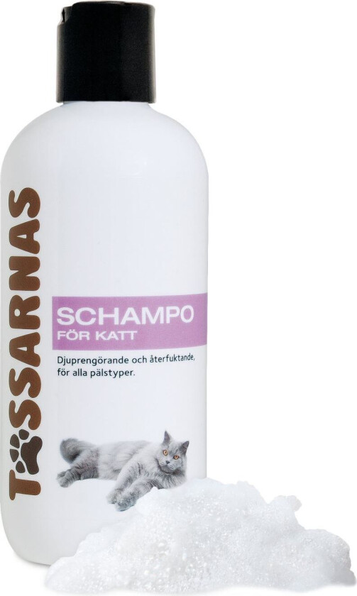 Shampo for katt