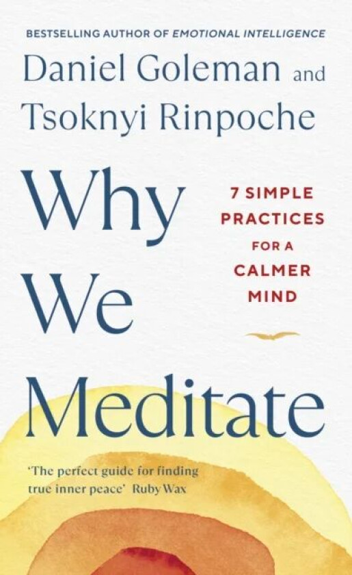 Why We Meditate av Daniel Goleman, Tsoknyi Rinpoche