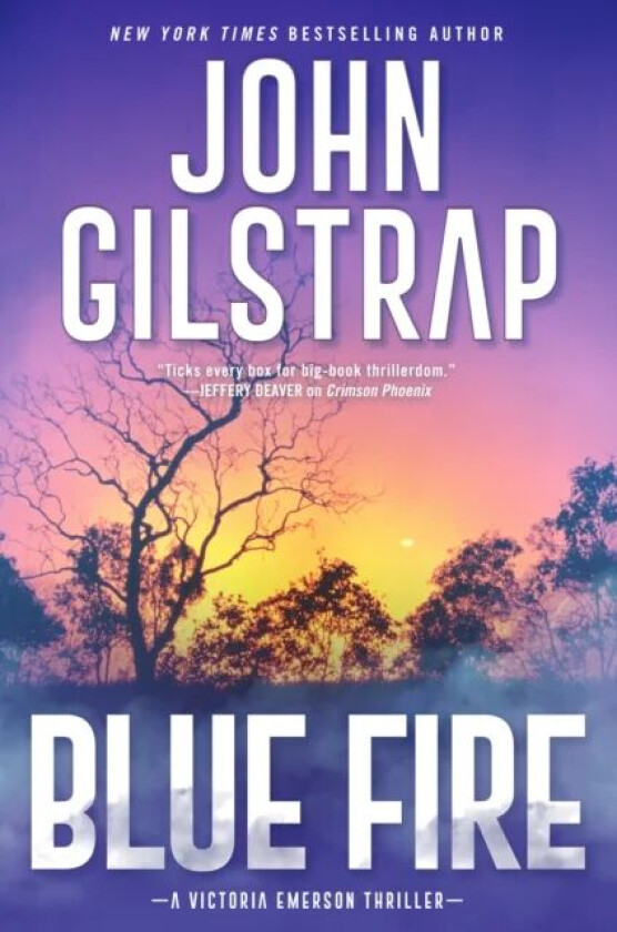 Blue Fire av John Gilstrap