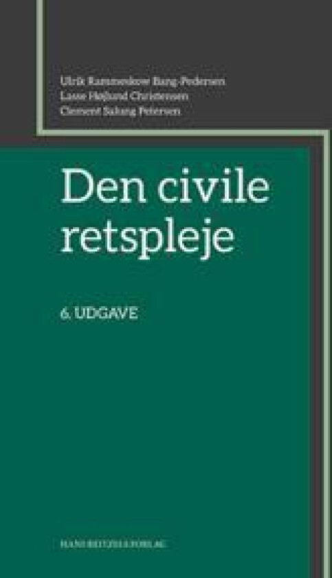 Den civile retspleje