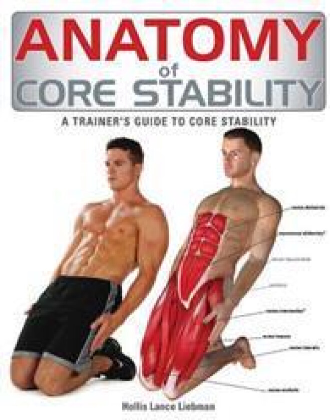 Anatomy of Core Stability: A Trainer's Guide to Core Stability