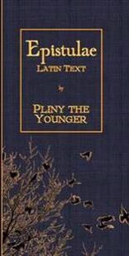 Epistulae: Latin Text