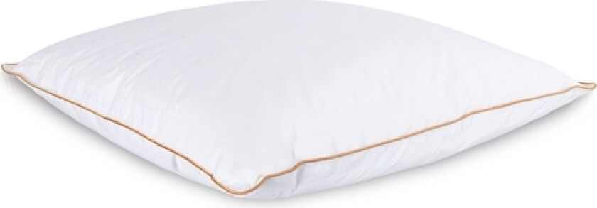 Moskusdunpute - 60x63 cm - Medium Pute - Årspute 2024 - 3 kamre - Borg Living