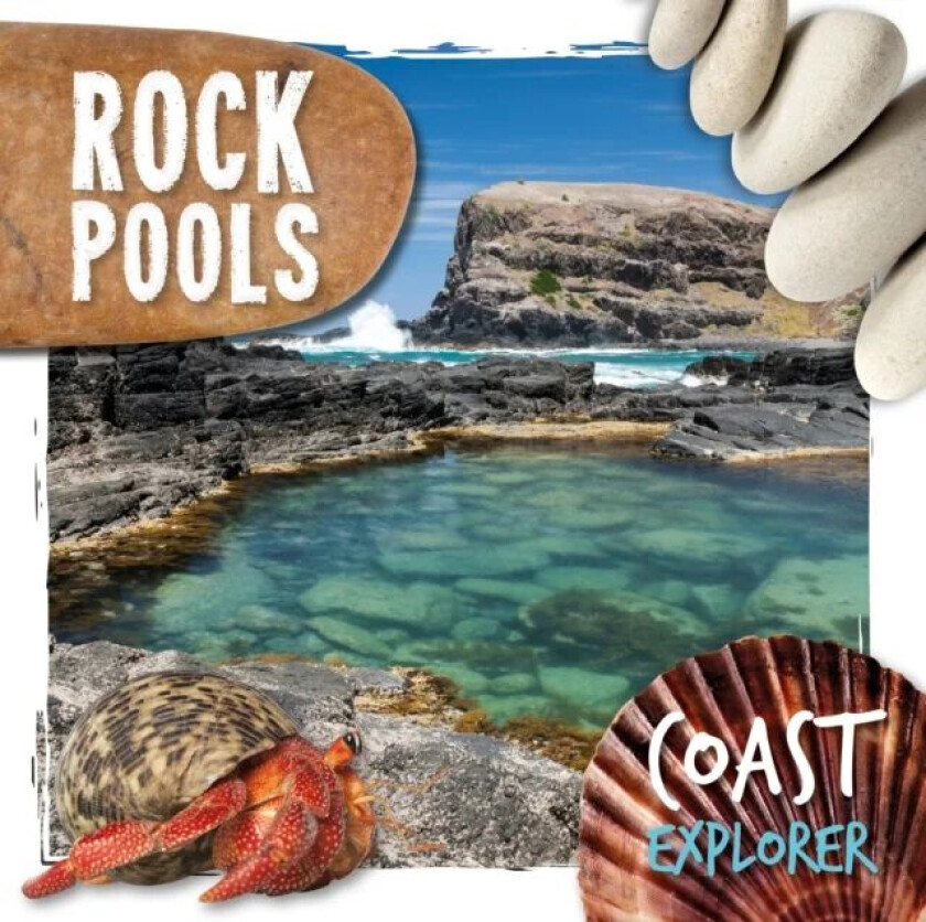 Rock Pools av Robin Twiddy