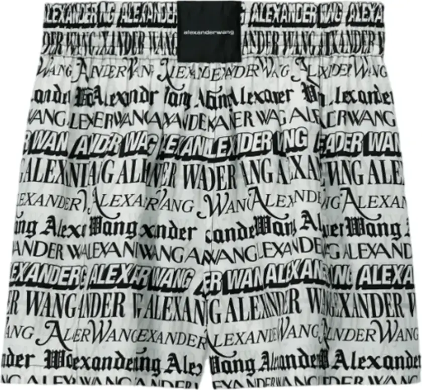 Alexander Wang, Dame, Shorts, Flerfarget, M