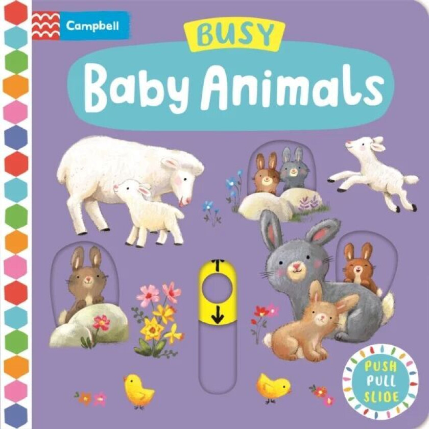 Busy Baby Animals av Ag Jatkowska