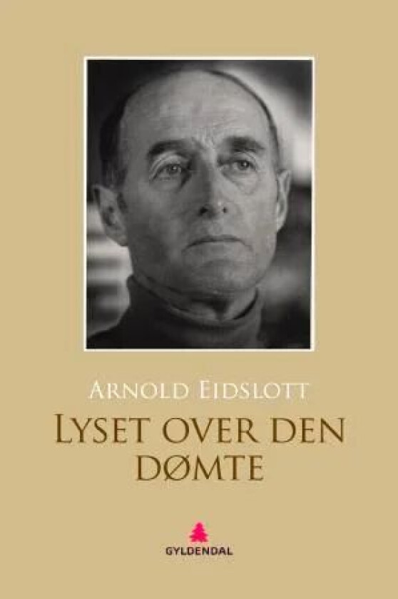 Lyset over den dømte av Arnold Eidslott