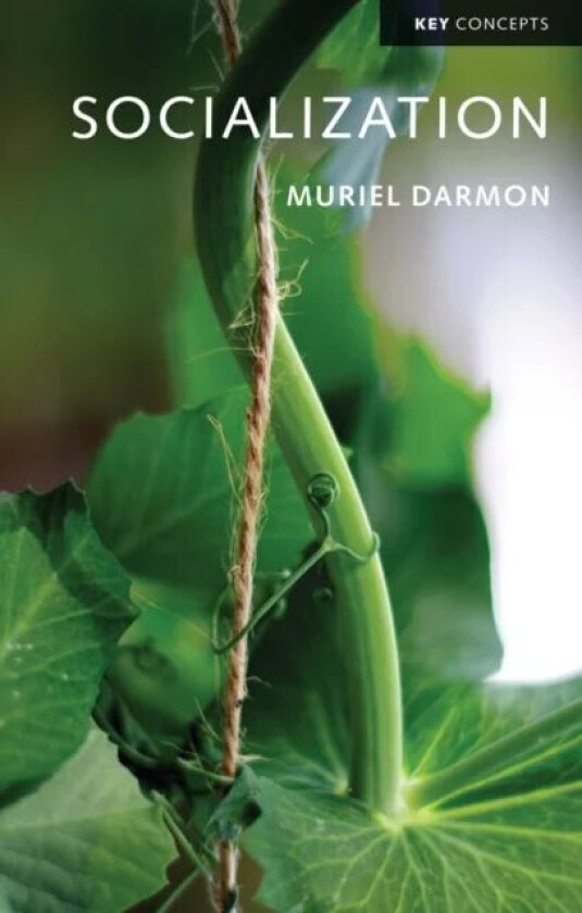 Socialization av Muriel Darmon