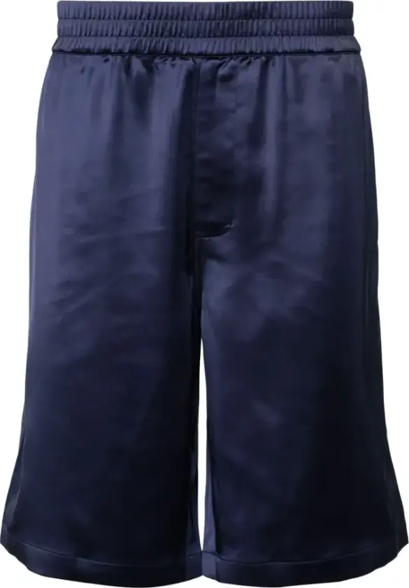 Herre, Shorts, Blå, S