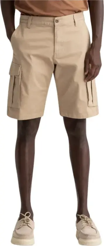 Herre, Shorts, Beige, W40